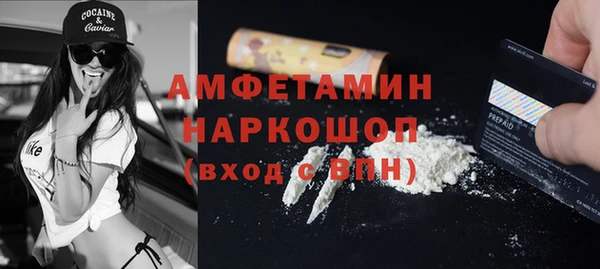 apvp Иннополис