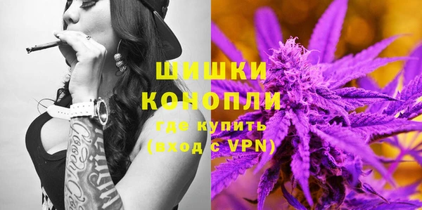PSILOCYBIN Инта