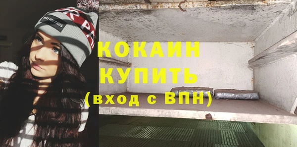 apvp Иннополис