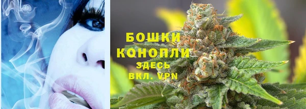 apvp Иннополис